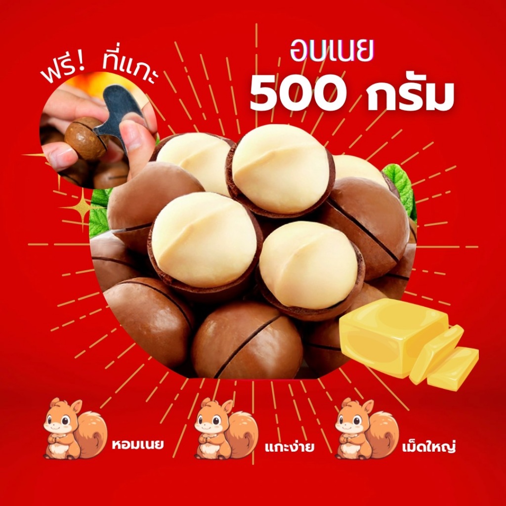 แมคคาเดเมียอบเนย 500 กรัม (ฟรีที่แกะ) กรอบ หอม มัน