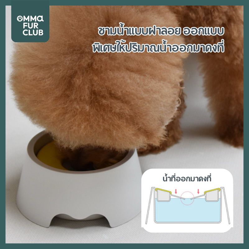 [พร้อมส่งในไทย] ชามน้ำสัตว์เลี้ยง ไม่ทำให้หน้าเปียกเลอะ Water Floating Bowl 300mL by OFC🐾 นำเข้าจากเกาหลี🇰🇷 - รูปที่ 4