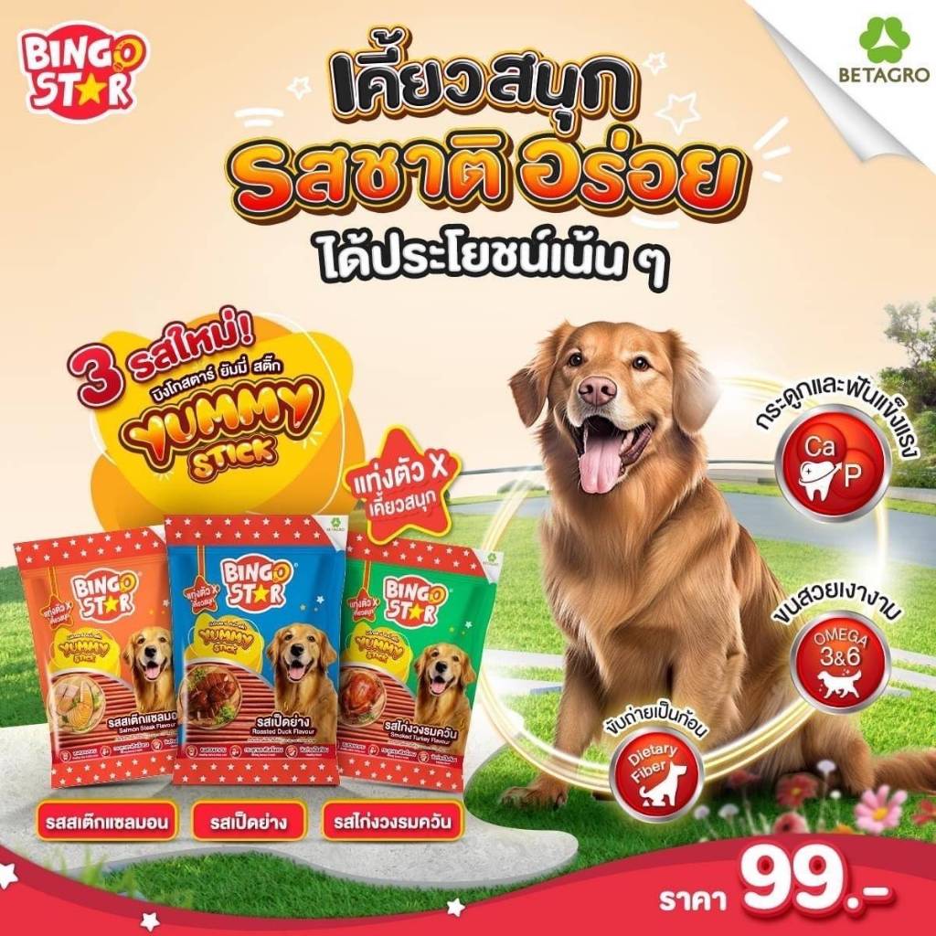 ขนมสุนัขBingo Star Yummy Stick