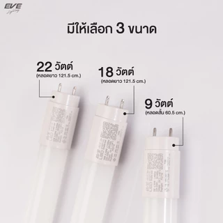 EVE หลอดแอลอีดี T8 (ไม่รวมชุดรางไฟ) ชนิดไฟเข้าสองทาง รุ่น Safety Fit ขนาด 9W 18W 22W แสงขาว 6500K รับประกัน 1 ปี