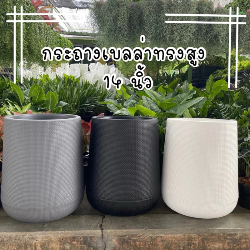 กระถางเบลล่า ทรงสูง ขนาด 14 นิ้ว กระถางพลาสติกหนา วางในบ้าน
