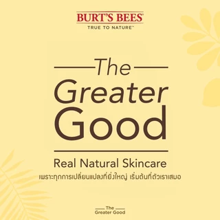 Burt's Bees IN FULL BLOOM ASSORTED LIP BALM GIFT SET