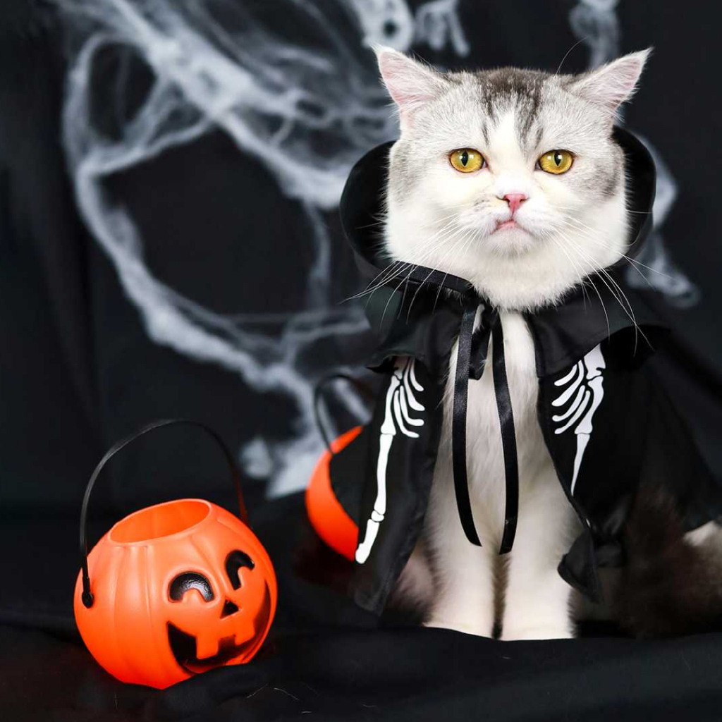 [สินค้าราคาพิเศษ] Halloween Collection ชุดผู้คุมกุ๊กกู๋ ชุดหมา แมว | CLAWSET.BKK