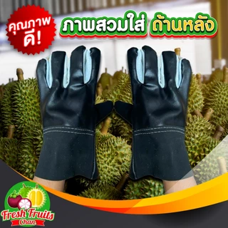 💥ส่งฟรี‼️💥ถุงมือหนังใช้ปอกและรับทุเรียน ✅คละสี 1 คู่ (ขนาดฟรีไซส์)