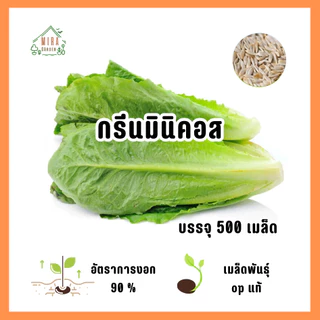 เมล็ดพันธุ์ กรีนมินิคอส บรรจุ 500 เมล็ด