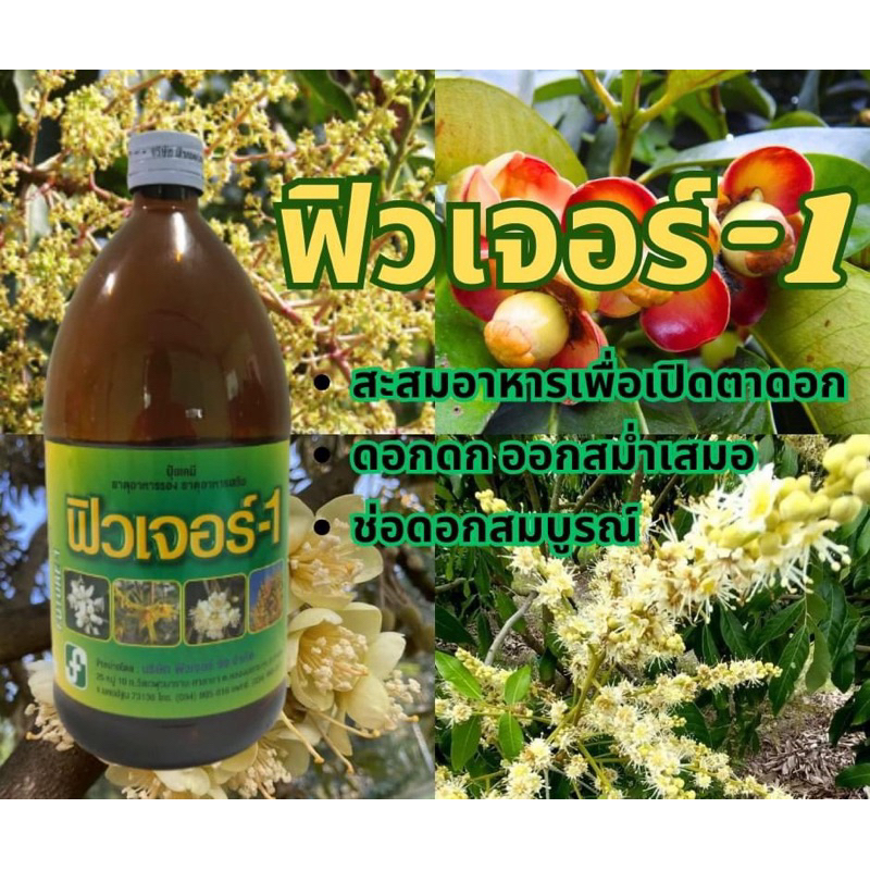 ฟิวเจอร์1 เปิดดตาดอก ขนาด1ลิตร