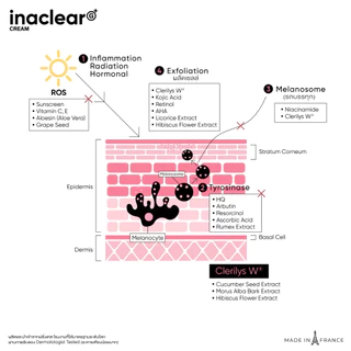 VIKKASKINCARE INACLEAR G+ Serum In Cream 23g อินนาเคลียร์ครีม ครีมบำรุงผิว ลดฝ้า กระ จุดด่างดำ ผิวกระจ่างใส