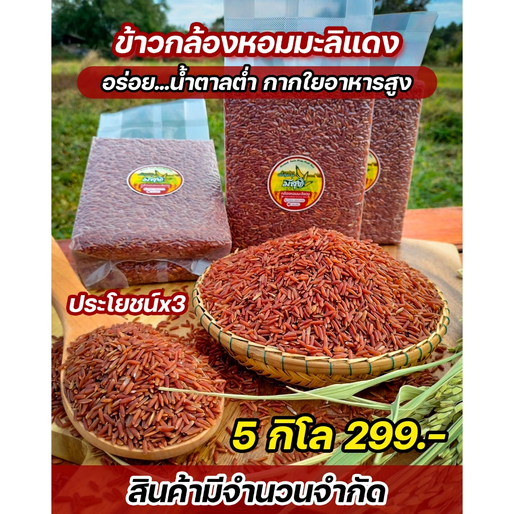 ข้าวกล้องหอมมะลิแดง เกษตรอินทรีย์ปลอดสาร 5 กิโล(ซีลสูญญากาศ)