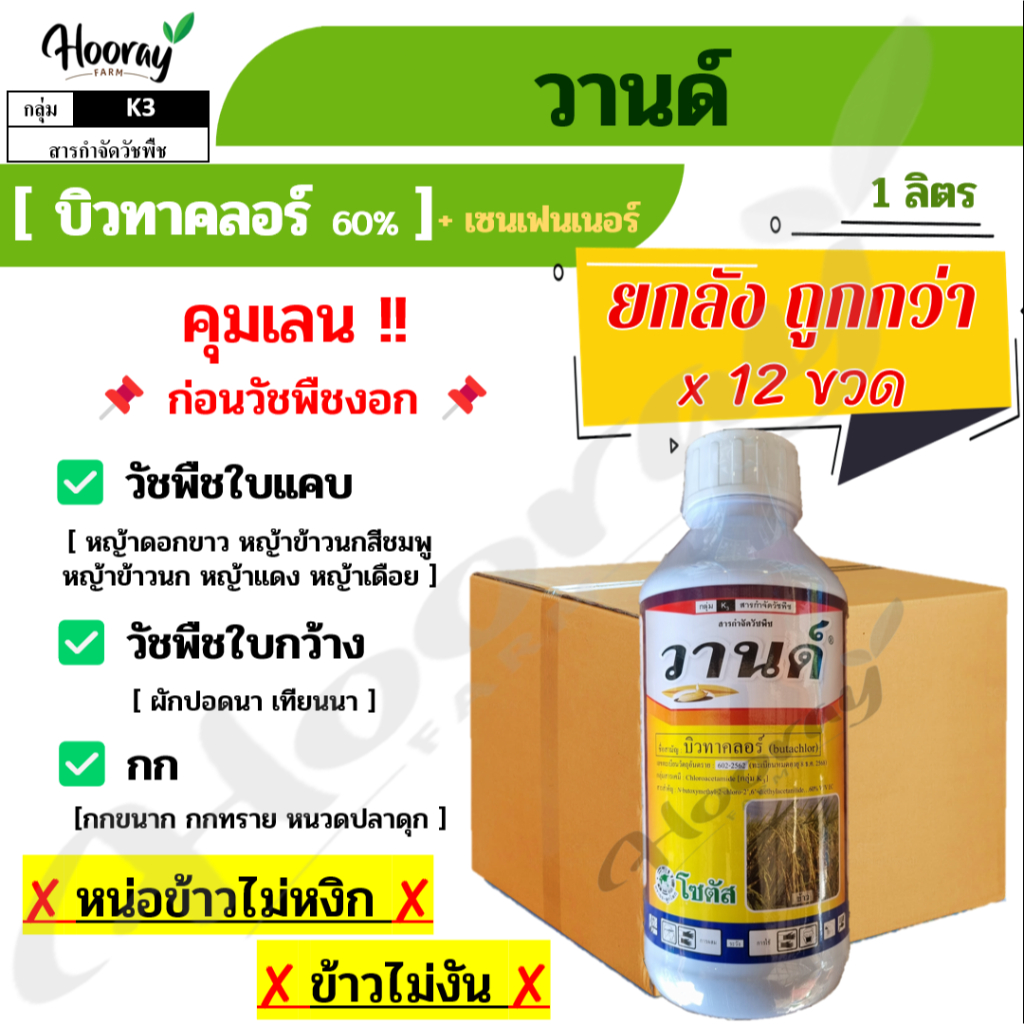 ยกลัง วานด์ x 12 ขวด ( บิวทาคลอร์ ) คุมเลน หญ้าข้าวนก หญ้าดอกขาว ผักปอดนา เทียนนา ขาเขียด กก