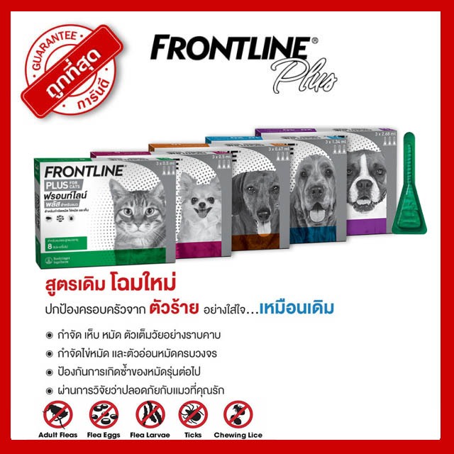 FRONTLINE PLUS แบ่งขาย 1 หลอด ยาหยอดกำจัดเห็บ หมัด สุนัขและแมว แบ่งขาย 1 หลอด