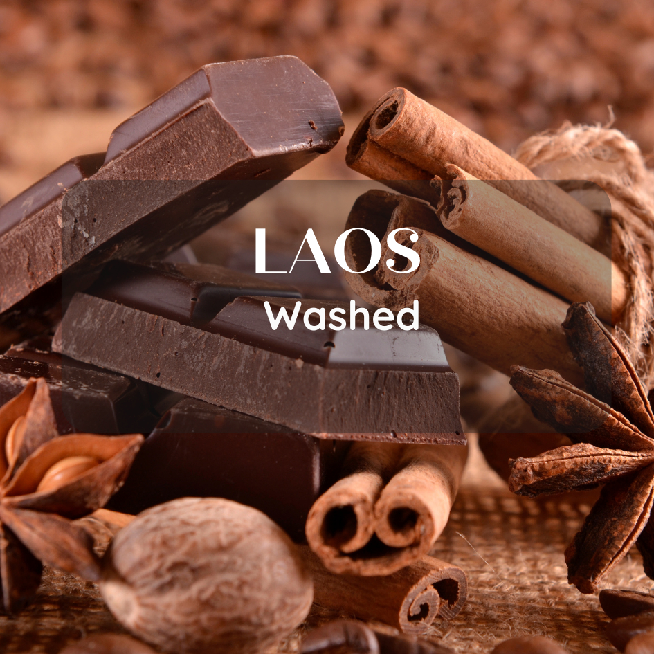 สารเมล็ดกาแฟ Laos Washed 2025 ขนาด 1000g