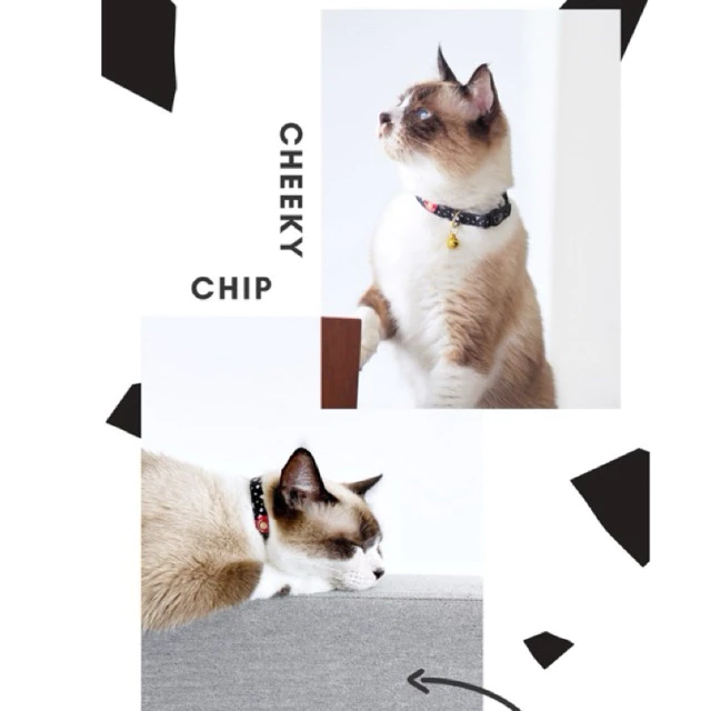 GENTLEPURR Cat Collar ปลอกคอแมว สินค้านำเข้าจากสิงคโปร์ thumbnail 5