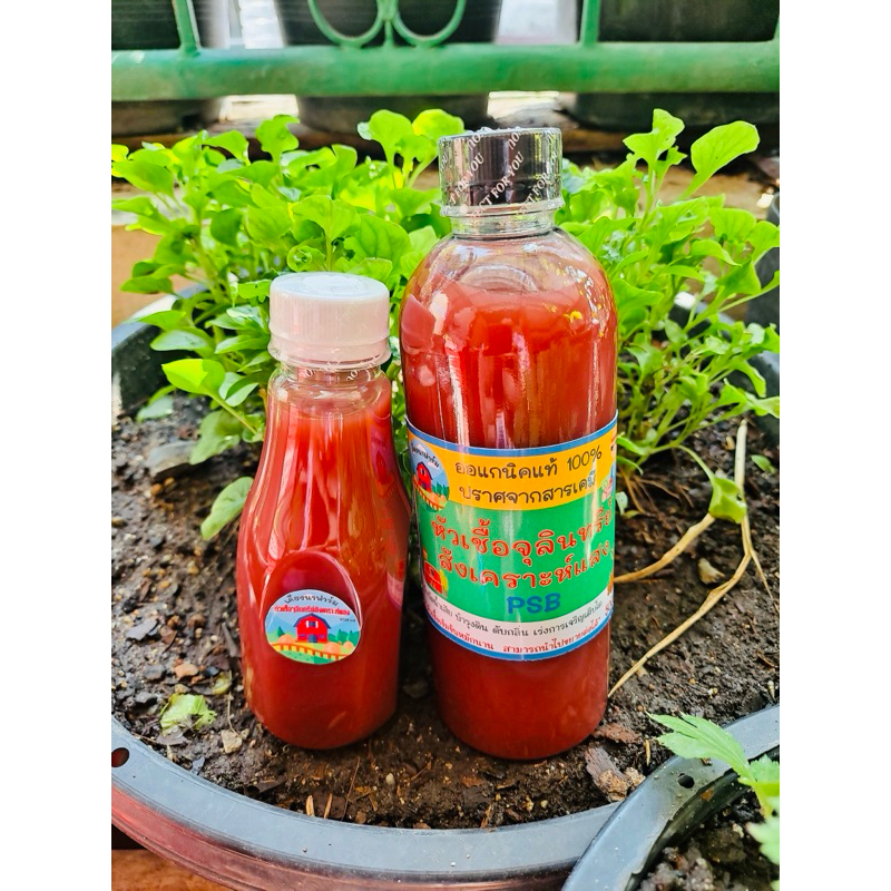 จุลินทรีย์สังเคราะห์แสง PSB