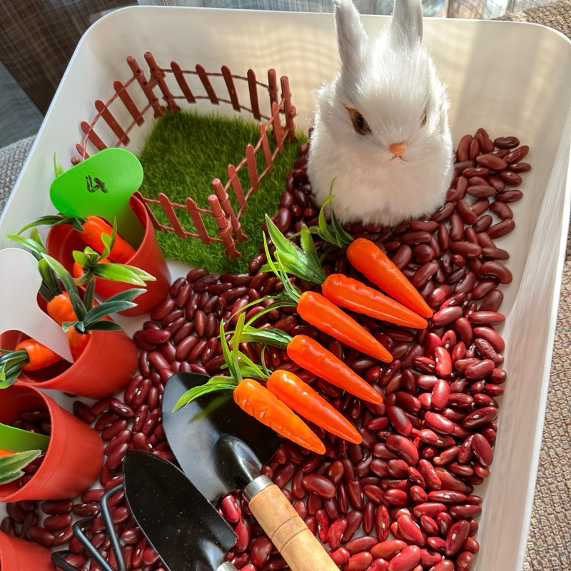 Bunny & Carrot Play Set ชุดปลูกแครอทในสวน ฝึกนับเลข รูปที่ 4