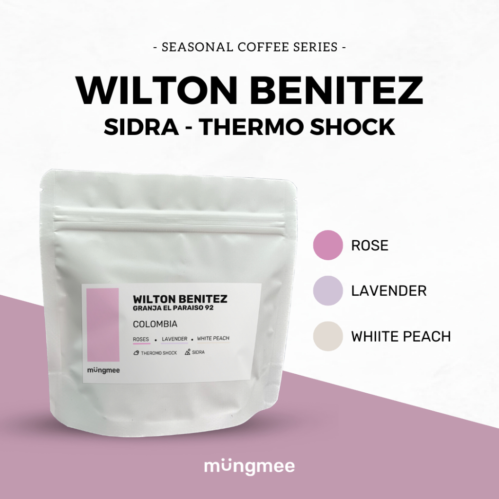 Mungmee Coffee เมล็ดกาแฟ Colombia - Sidra Theromo shock (Wilton benitez, Granja El Paraiso 92)