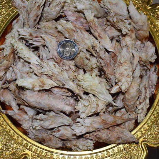 ดอกว่าน แบบแห้ง ว่านดอกทองสุริยะเทพ ว่านมหาเสนห์ ที่สุดแห่งว่านมหาเสน่ห์ เมตตามหานิยม และมหาเสน่ห์ แบบแห้ง ถือเป็นว่านโบ