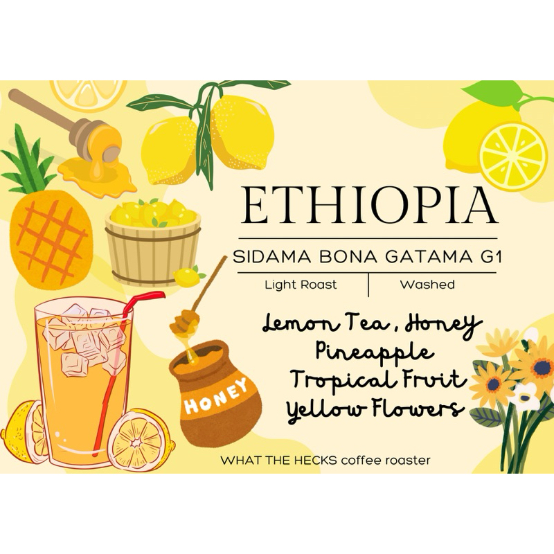 Ethiopia G1 Sidama Bona Gatama Washed / by What The Hecks Coffee Roaster / กาแฟดริป