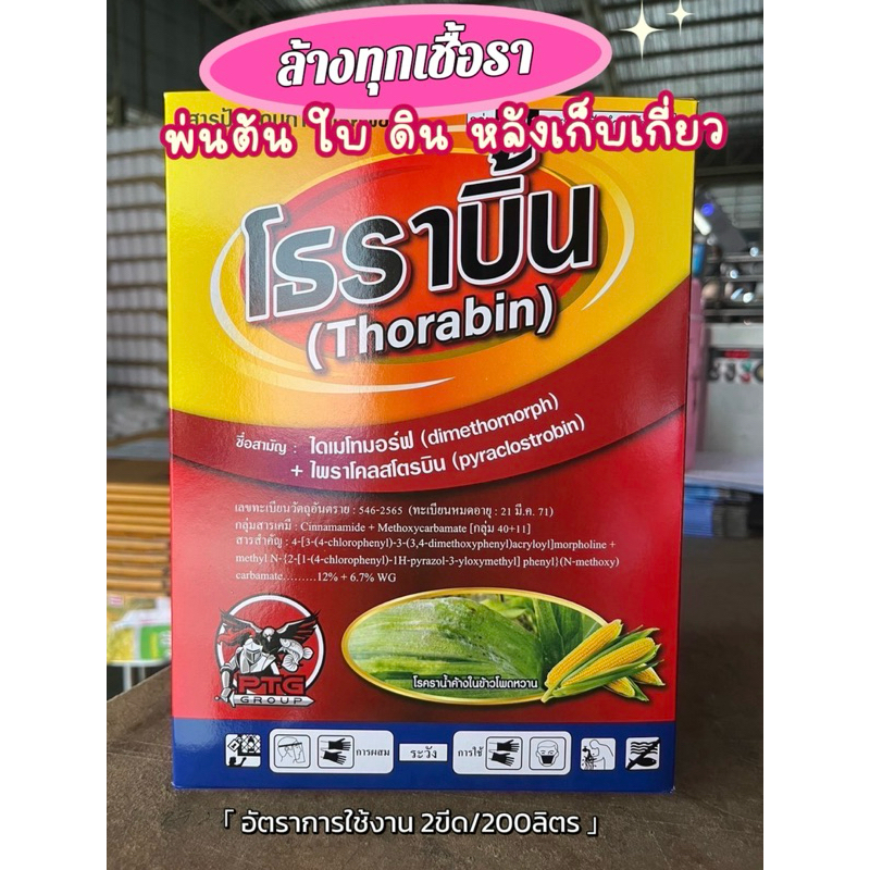 โธราบิ้น 1กิโล ไดเมโทมอร์ฟ+ไพราโคลสโตรบิน ไฟท๊อป ล้างใบติด ต้นเน่าผลเน่า รักษาโรคกิ่งแห้ง ฟิวซาเรียม หยุดทุกเชื้อรา