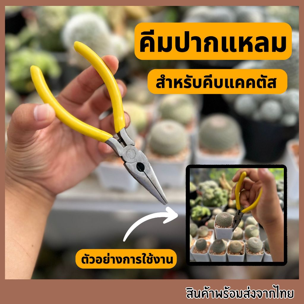 คีมปากแหลม ที่คีบต้นไม้ อุปกรณ์หยิบต้นไม้