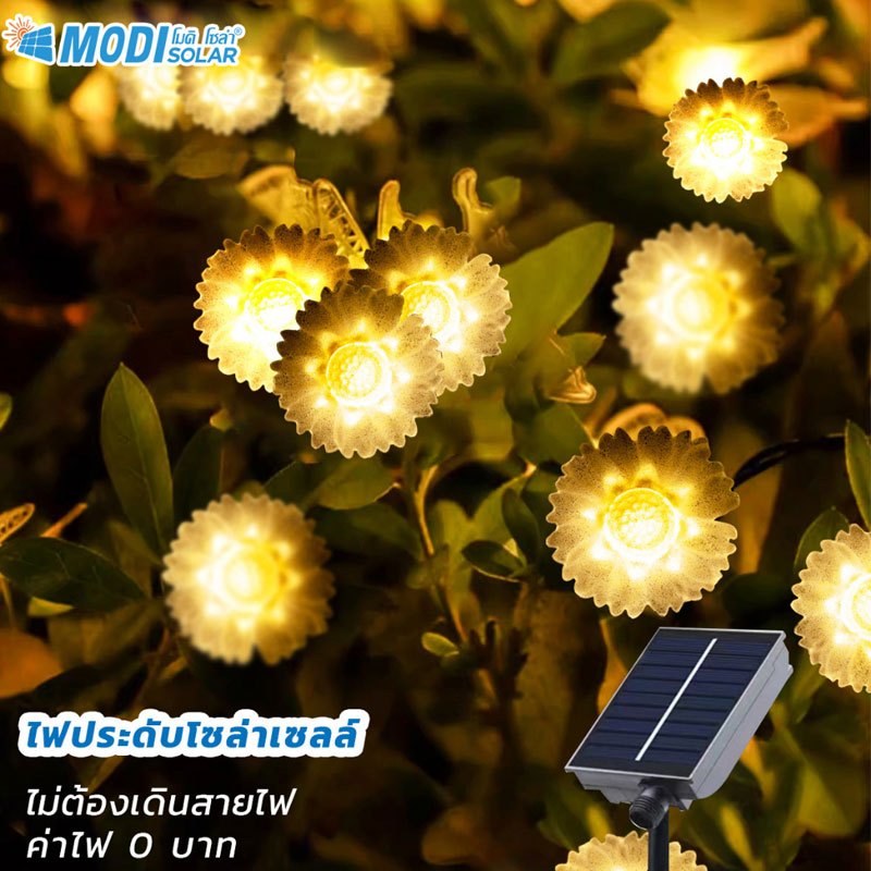 MODI ไฟดอกไม้โซล่าเซลล์ ยาว5M/50หลอด แสงเหลือง เล่นได้8โหมด ปักสนาม ตกแต่งสวน ประดับต้นไม้ รั้วบ้าน