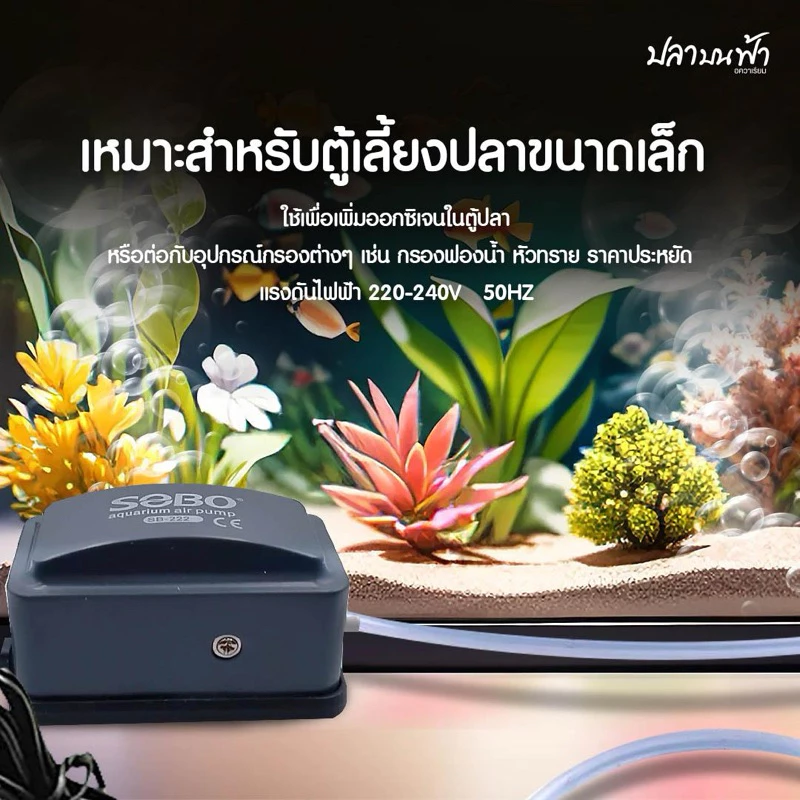 ปั๊มลมออกซิเจน SOBO รุ่น SB-222, SB-222A ออกซิเจนปลา และสัตว์น้ำทุกชนิด ออก 1 ทาง ความแรง 3 ลิตร/นาที เสียงเบาประหยัดไฟ thumbnail 5