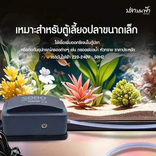 ปั๊มลมออกซิเจน SOBO รุ่น SB-222 ออกซิเจนปลา และสัตว์น้ำทุกชนิด ออก 1 ทาง ความแรง 3 ลิตร/นาที เสียงเบาประหยัดไฟ