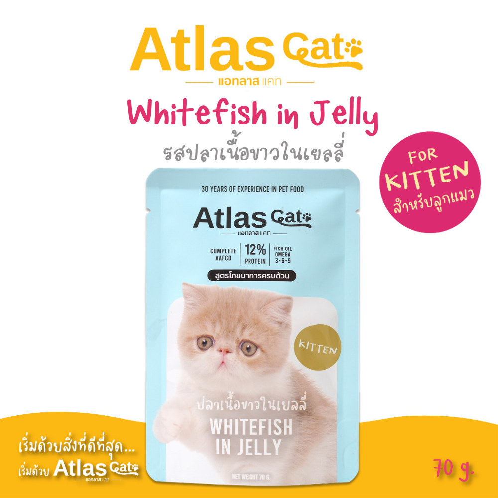 (แพ็ค 1) Atlas Cat แอทลาส แคท คิทเท้น อาหารเปียกลูกแมว ปลาเนื้อขาวในเยลลี่ 70g.