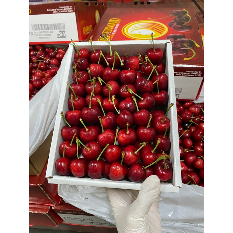 Cherries เชอร์รี่สด เชอร์รี่แดง 1kg. จัดเรียงเต็มกล่อง (เรียง 2 ชั้น) รสชาติหวานอมเปรี้ยวนิดๆ เข้มข้นมาก กรอบ อร่อย