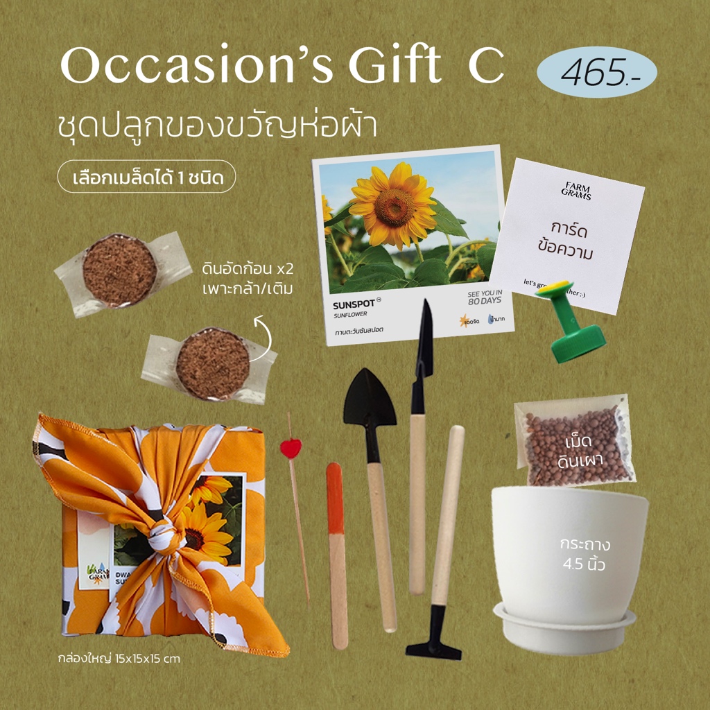 ชุดปลูกดอกไม้ Occasions's Gift C : ของขวัญโอกาสพิเศษ พร้อมผ้าห่อFuroshiki