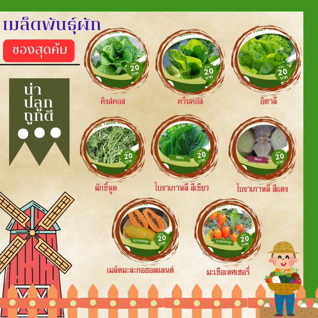 เมล็ดพันธุ์ผัก น่าปลูก ซองสุดคุ้ม #เพาะปลูกรักษ์ สลัด มะเขือเทศ ใบงาเกาหลี ผักขี้หูด มะละกอ #ซื้อ 10 รับอีก 1