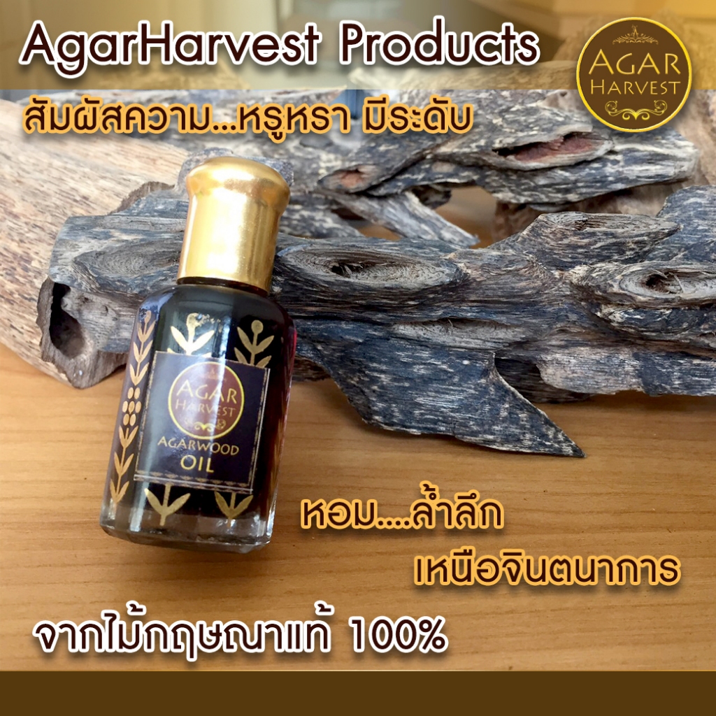 AgarHarvest น้ำมันหอมอโรม่า น้ำหอมมงคล น้ำหอม ปรับอากาศ น้ำมันกฤษณาแท้ เกรดพรีเมี่ยม แท้ 100% - รูปที่ 4