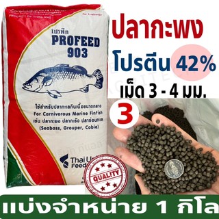 ProFeed อาหารปลากระพง โปรฟีด โปรตีน 42% อาหารปลาทะเล >> 903 << แบ่งขาย