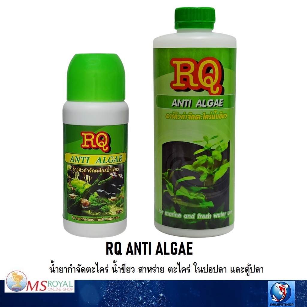 RQ ANTI ALGAE (น้ำยากำจัดตะไคร่ น้ำขียว สาหร่าย ตะไคร่ ในบ่อปลา และตู้ปลา)