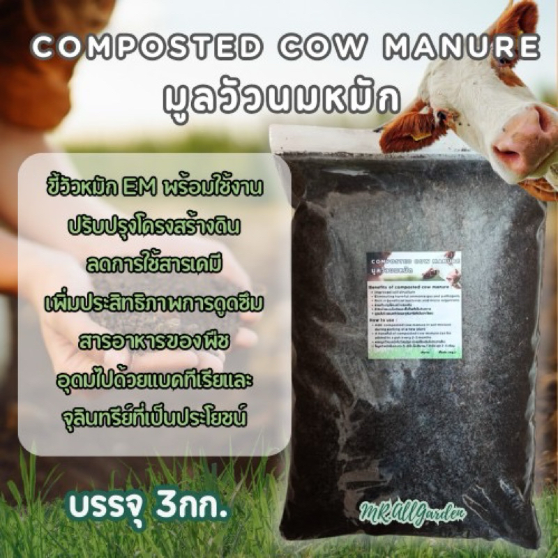 ขี้วัวหมัก 3kg. ปุ๋ยคอก ผ่านกระบวนการหมักและย่อยสลายโดยธรรมชาติ ไม่มีกลิ่นรบกวนและสารเคมี compost manure 3KG.