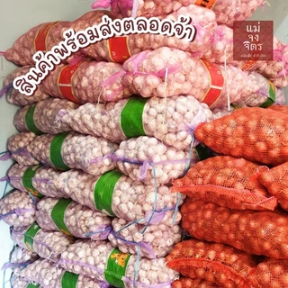 กระเทียมแกะกลีบ (คัดพิเศษ) ❌️ไม่ฝ่อ ❌️ไม่ขึ้นรา