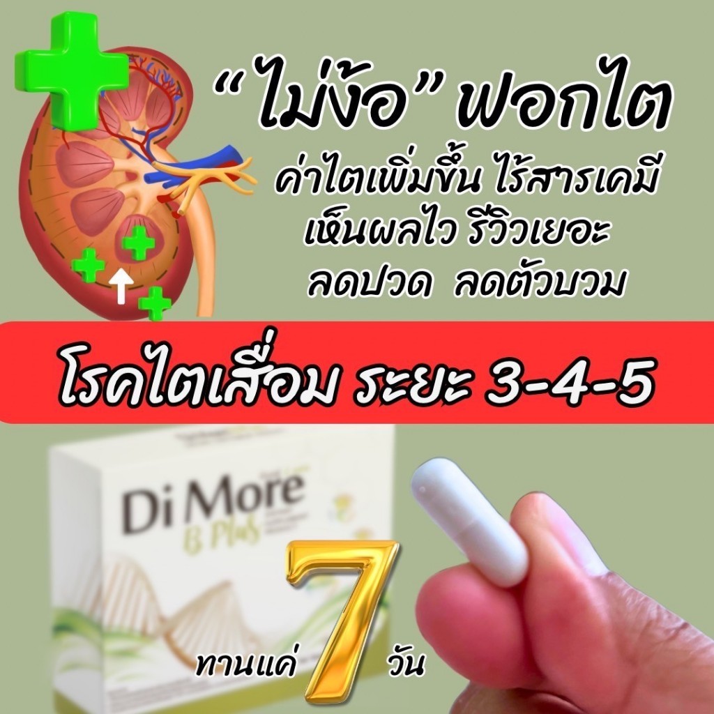 Di More B Plus ดิเมอร์ บี พลัส ช่วยบำรุงซ่อมแซมเซลล์ไตที่เสื่อมให้กลับมาทำงานได้ดีขึ้น