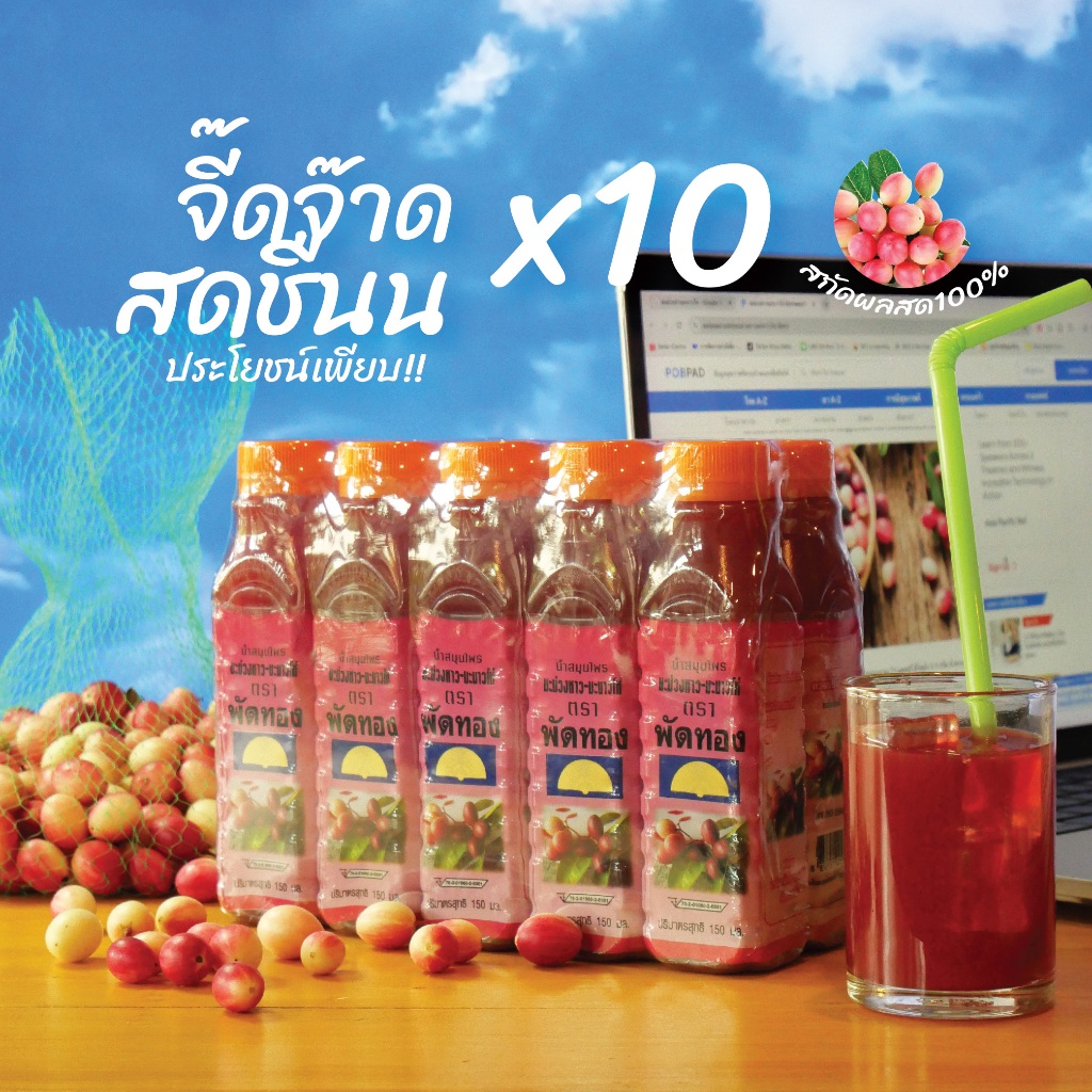 น้ำมะม่วงหาวมะนาวโห่(แพค10ขวด) จี๊ดจ๊าดสดชื่น น้ำผลไม้สมุนไพร ตราพัดทอง