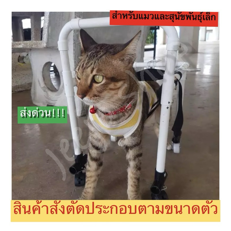 วีลแชร์สุนัขและแมว(ช่วยพยุงเดิน)