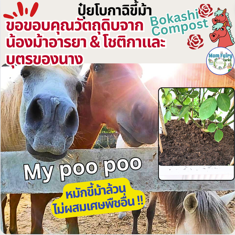 ปุ๋ยโบกาฉิขี้ม้าผง Bokashi Compost อาหารเสริมใส่กุหลาบ ผสมอะมิโนฮิวมิค+น้ำหมักปลาทะเล คลุมหน้าดิน ให้ดินสมดุล