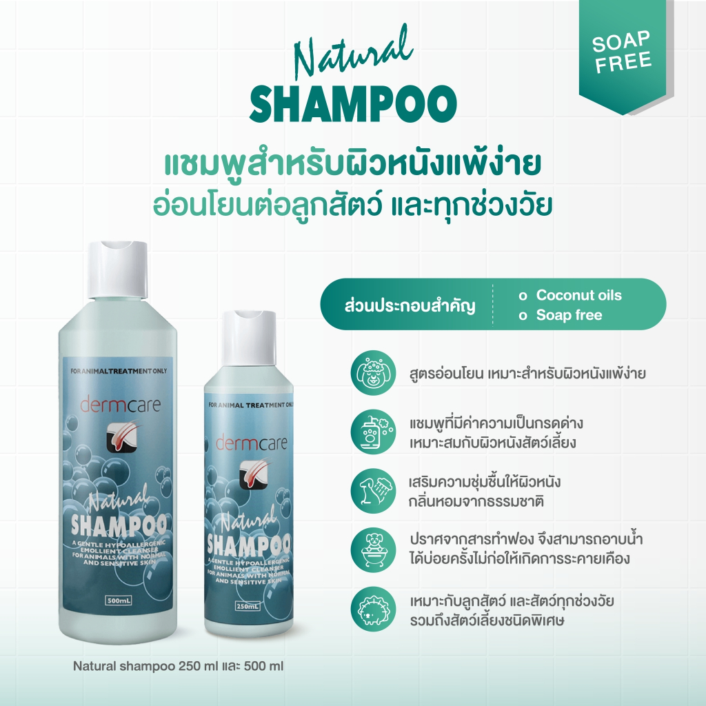 รูปภาพ 5