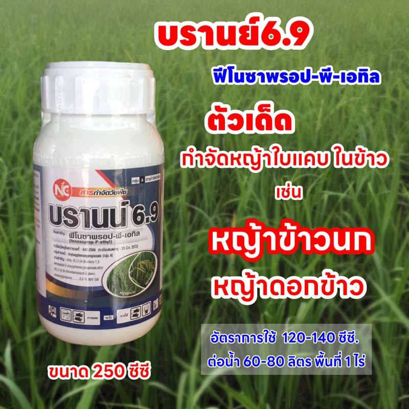 ฟีโนซาพรอป-พี-เอทิล บรานน์ขนาด 250 ซีซี.กำจัดวัชพืชประเภทใบแคบ เช่น หญ้าข้าวนก หญ้าดอกขาว หญ้านกสีชมพู ในนาข้าว 15-40วัน