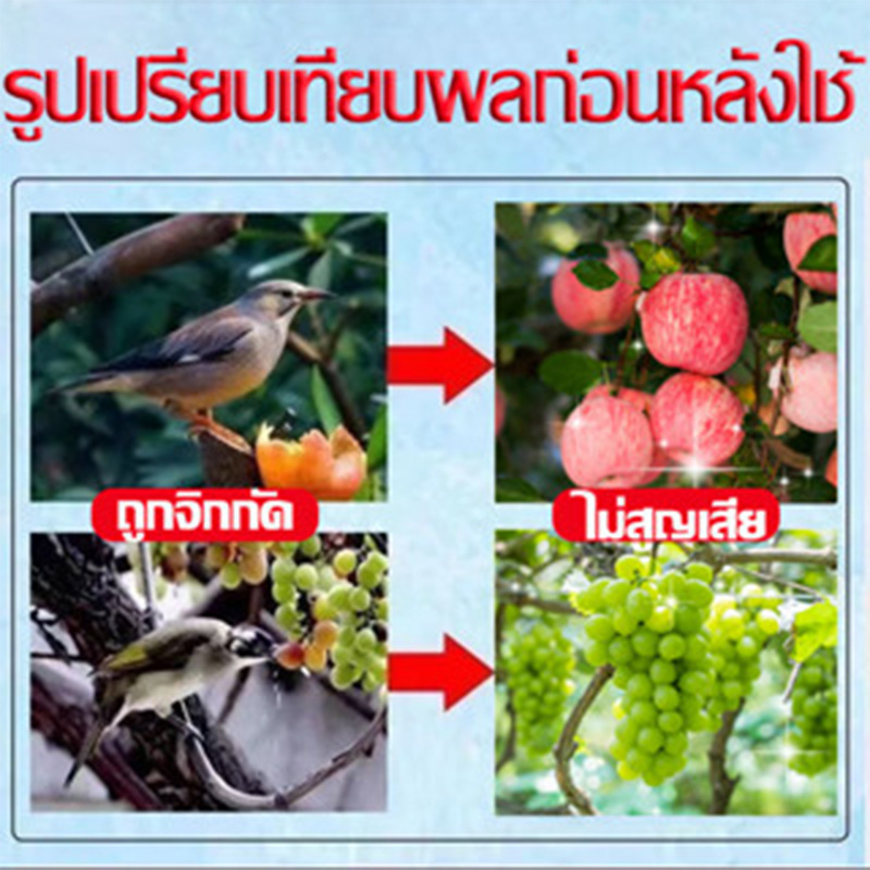 🔥นกระเบียงไม่มา🔥10000เมตรไม่มีนก ก้อนไล่นกพิราบ ไม่เป็นอันตรายต่อหญิงตั้งครรภ์และเด็ก 360 °ที่ไล่นก ไล่นกพิราบ - รูปที่ 4