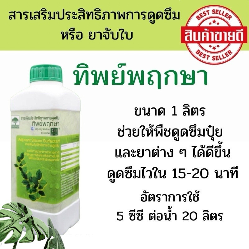 จับใบ ยาจับใบ หรือ สารเสริมประสิทธิภาพการดูดซึมทิพย์พฤกษา ของแท้ 100%  **ขนาด 1 ลิตร