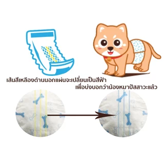 KING PET โอบิ ผ้าอ้อมสุนัขตัวผู้
