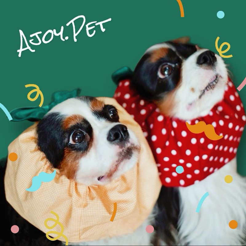 Snoods หมวกเก็บหูสุนัขและแมว