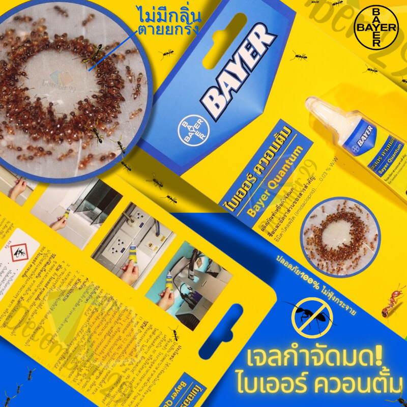 Bayerไบเออร์เจลกำจัดมด ไบเออร์ควอนตั้ม