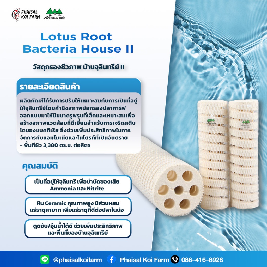 Lotus Root Bacteria House II วัสดุกรองชีวภาพ บ้านจุลินทรีย์ II SIZE L