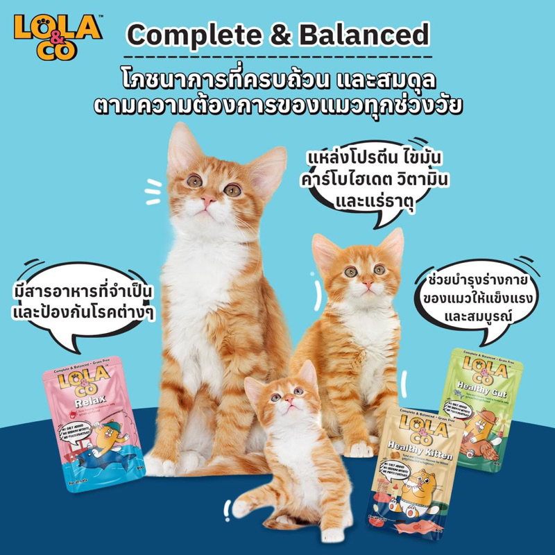 รูปภาพ 4