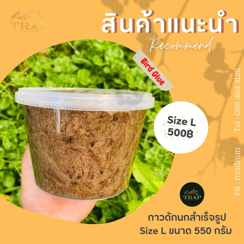 กาวดักนกสำเร็จรูป สามารถดักนกได้ทุกชนิด