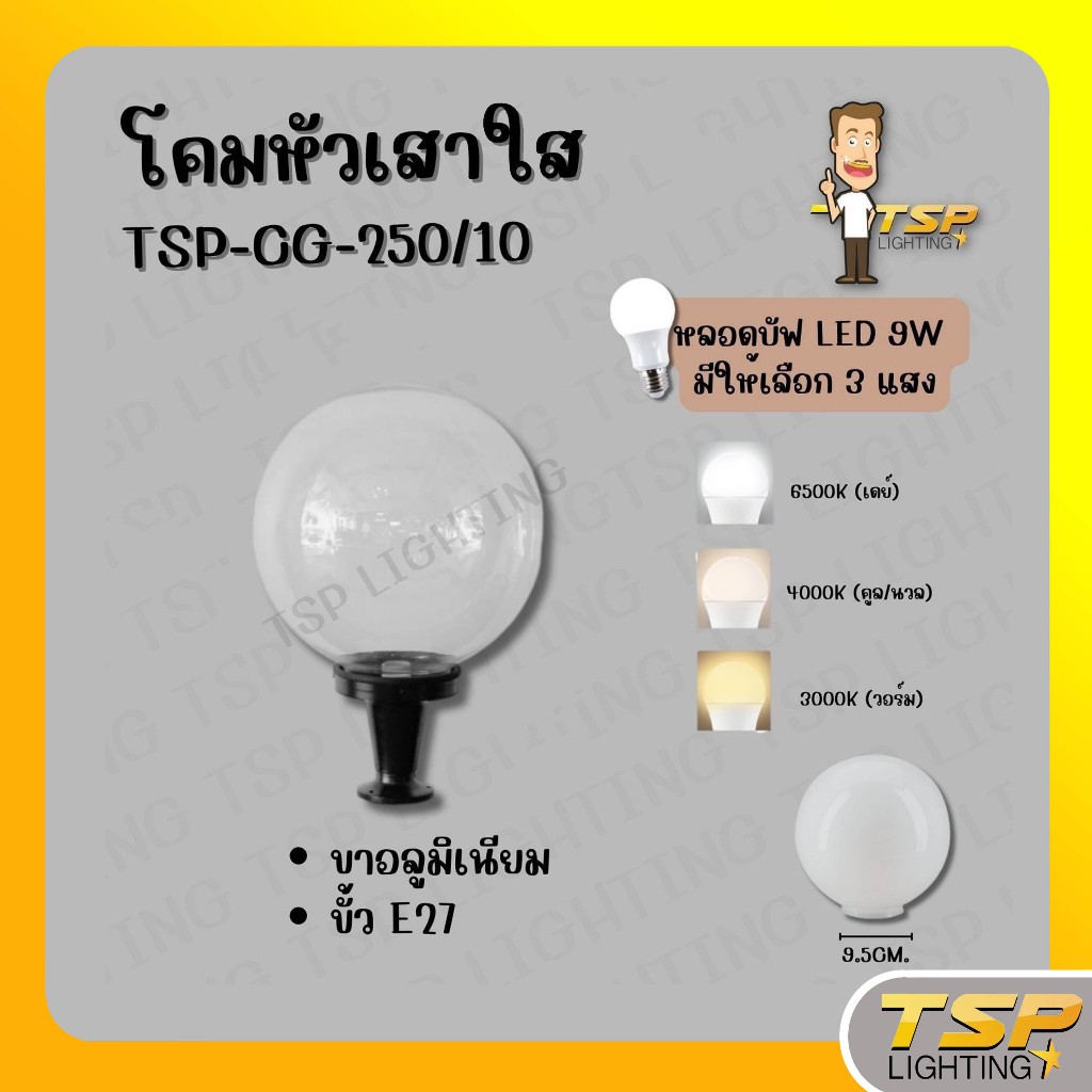 TSP Lighting │ โคมไฟหัวเสา (แก้วใส)  6'' 8'' 10'' 12''